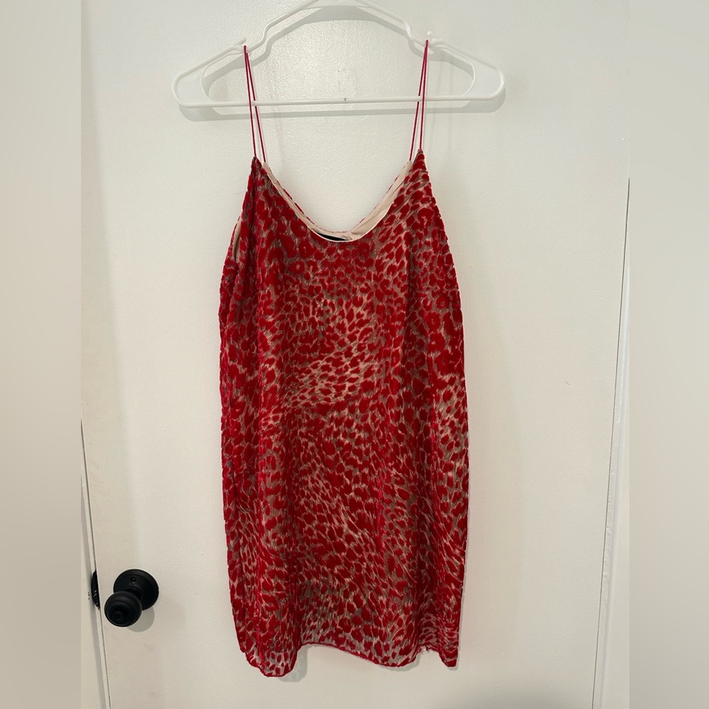 Small, Red and Cream, Olivaceous